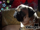 Berlioz