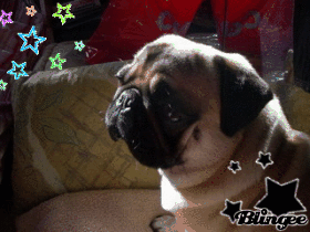 Berlioz