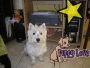 Montages de Photos