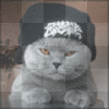 chat va?