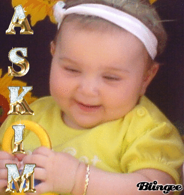 askim Picture 32255364