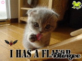 Yum...Flavor