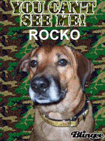 Rocko