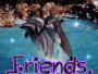 Dolphins