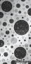 Black Dots