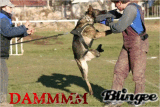 k9