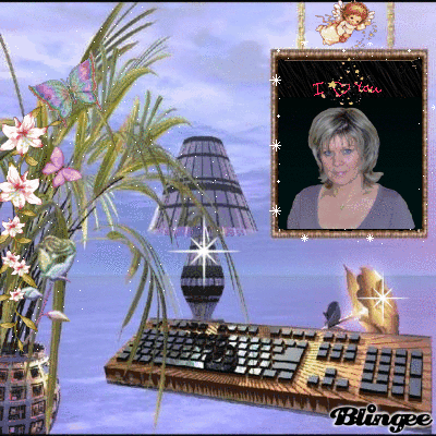 vivelenet