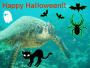 Halloween Turtle
