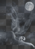 elfe de la nuit
