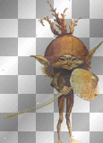 pixie