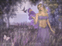 lavender fairy lavender fairy