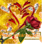 Animated Picture