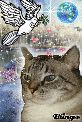 peaceable kingdom