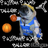 I wish I was taller, I wish i was a balllllerrr!