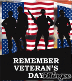 Remember Veteran's Day