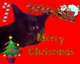 samuel_xmas