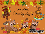 almost thanksgiving