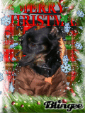 marley xmas
