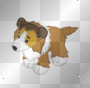 webkinz