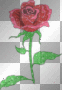 rosy red