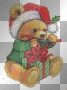 Xmas Teddy gift