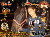 turkey day