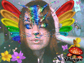 catterfly