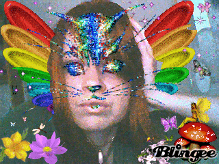 catterfly