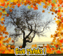 Thanks Giving Thanks Giving