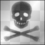 evilskull