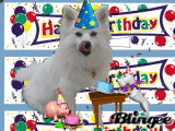 hb
