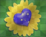 Flor Brasileira