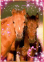 lief en leuk
