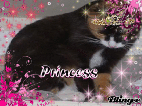 Princess Mocha