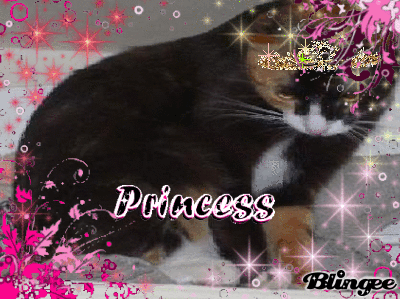 Princess Mocha