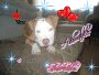 DOZERS WAY 2 CUTE!