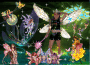 fairy taylor