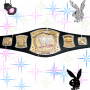 wwe champione