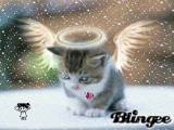 angel