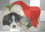 animaslhatxmas