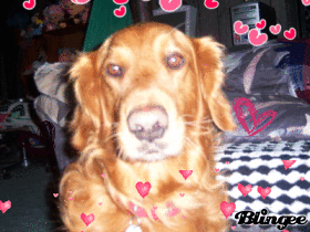 Hearts