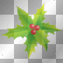 Holly