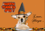 Harpos Thanksgiving!