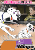 Perdita and Patch