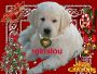 mimilou