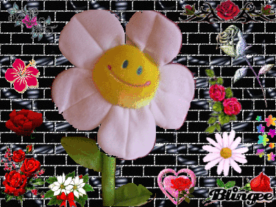 tite fleurs