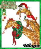 For my sister,her favorite animal!
