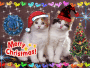 Christmas Kittens