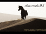 desertrider95