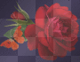 red rose with butterfly